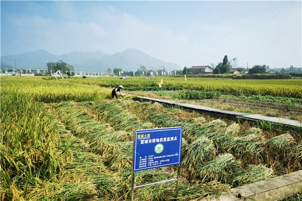 市種植業中心開展耕地質量監測點土樣採集工作