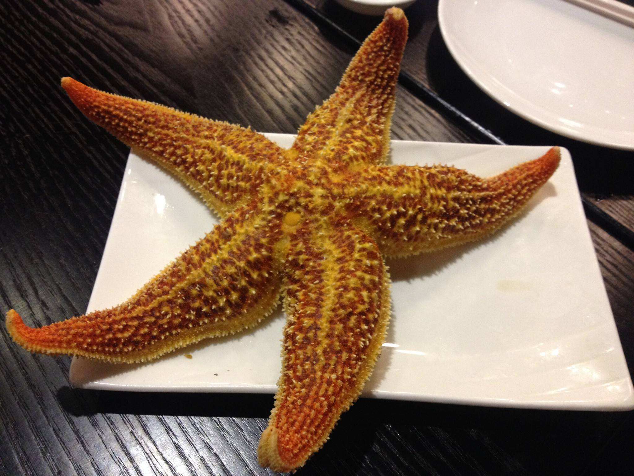 小美人鱼身上挂的海星,是死的还是活的呢?