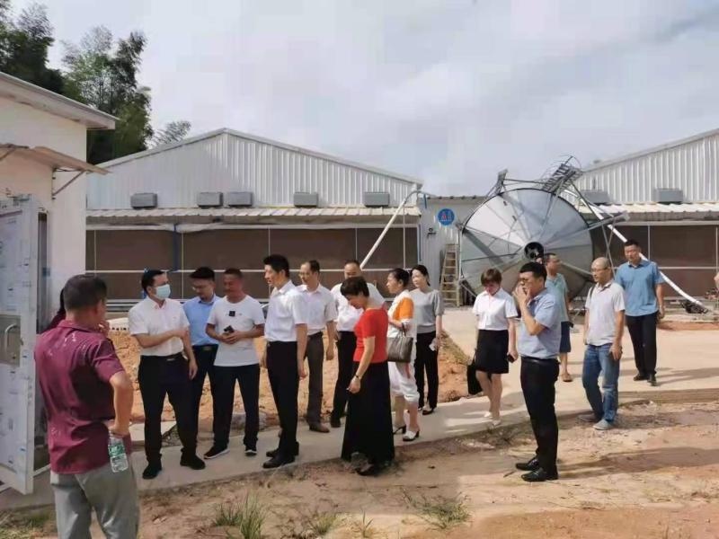 湘潭县青山桥镇:县委组织部长罗霄到青山桥镇调研村级集体经济发展