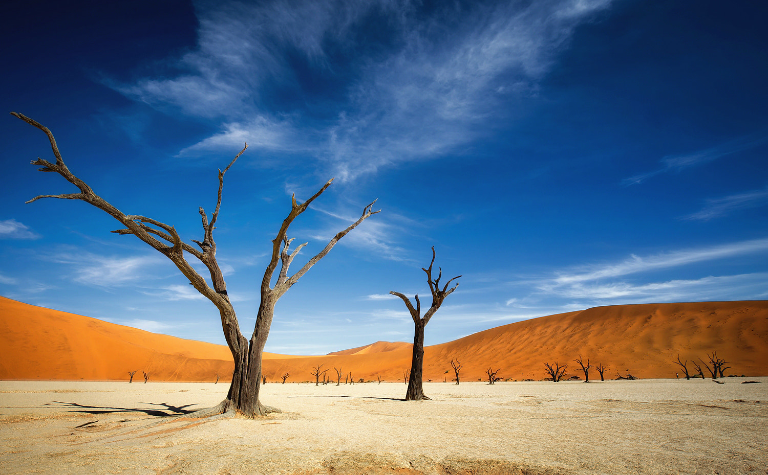 壁纸|高清手机壁纸404