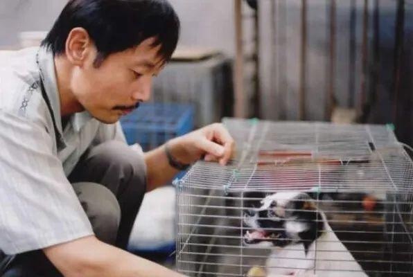 电影预约|《卡拉是条狗》