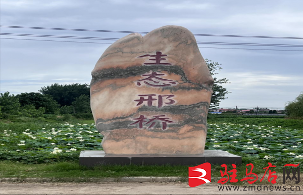 汝南县罗店镇邢桥村:发展特色产业,助力乡村振兴