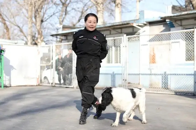 将女警训练成警犬图片