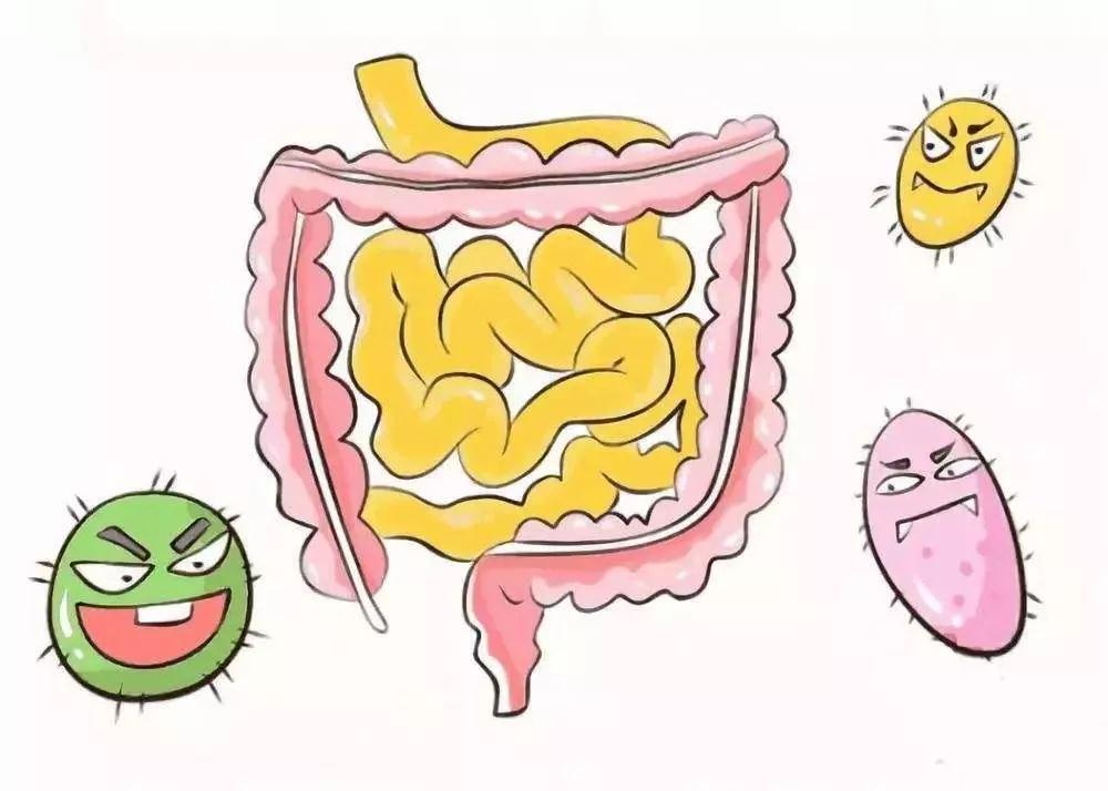 北京肛肠医院肠镜检查多少钱