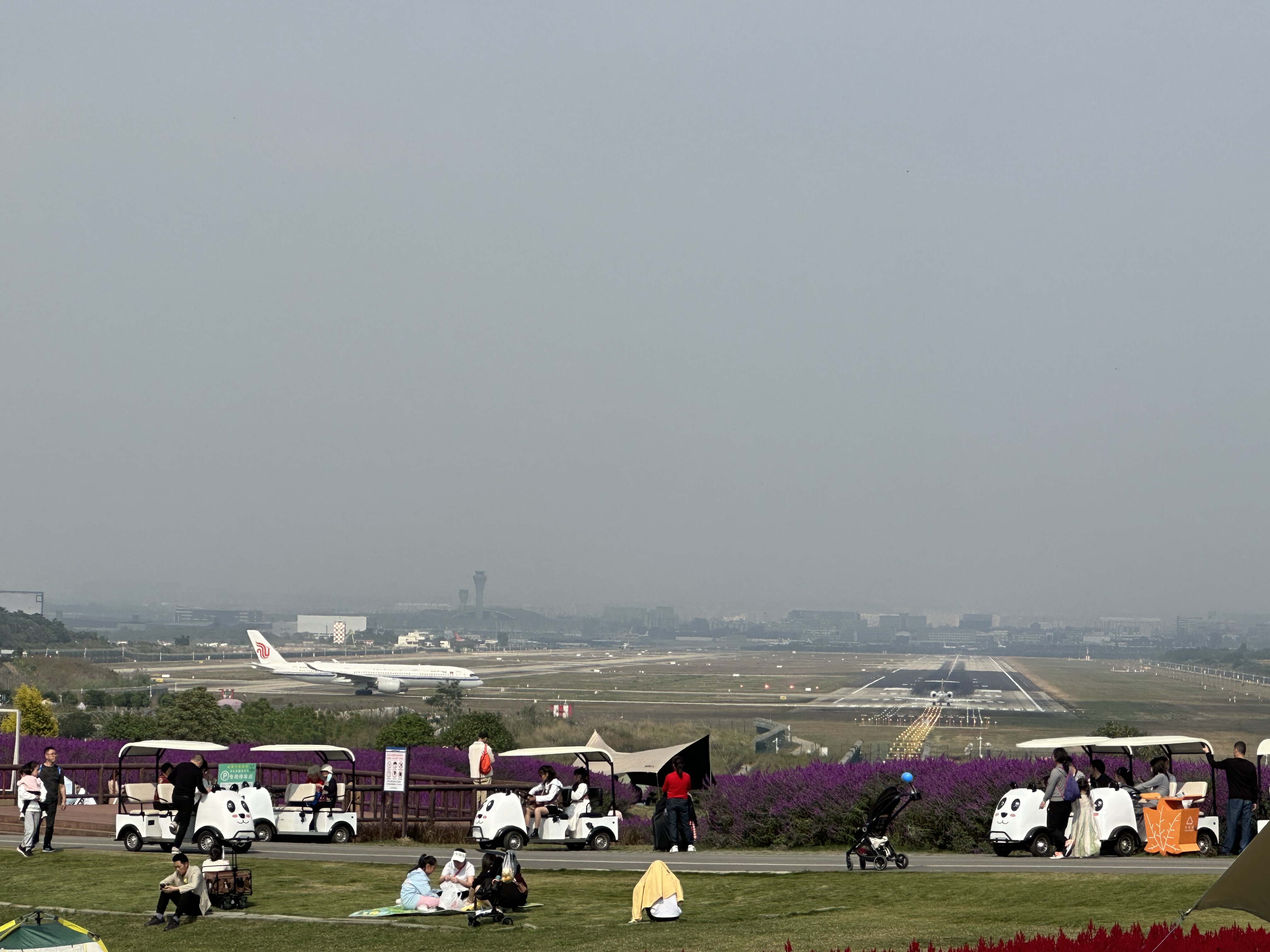 双流花田空港图片