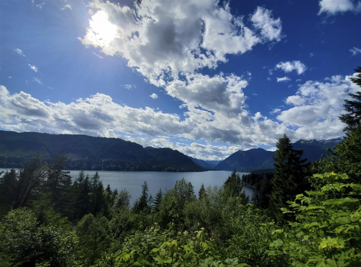 8���к���԰¶Ӫ������ʨϮ�����¸�ĸ�״���������