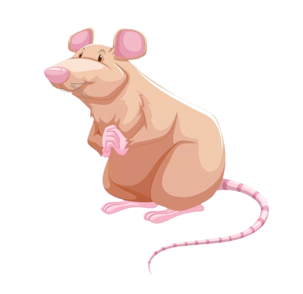 褐家鼠的生存之路:从"挪威鼠"到实验动物的蜕变