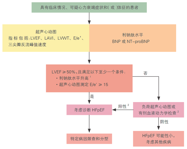 共识解读|周京敏教授:终于有药物能"拿捏"hfpef了,中国最新共识强推