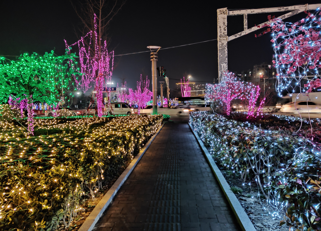 惊艳!美丽单县点亮春节夜景,流光溢彩年味十足!