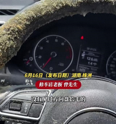 车停地库一个月方向盘和座椅长满了霉菌！修车老板：从业多年头回见