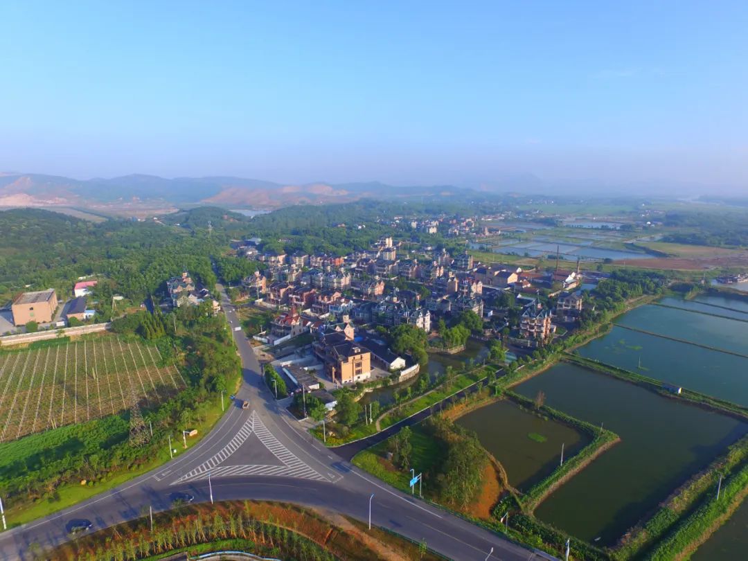 2022年3月,新市镇宋市村,钟管镇曲溪村,下渚湖街道上杨村,莫干山镇