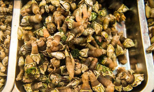 什么是"吃小海"