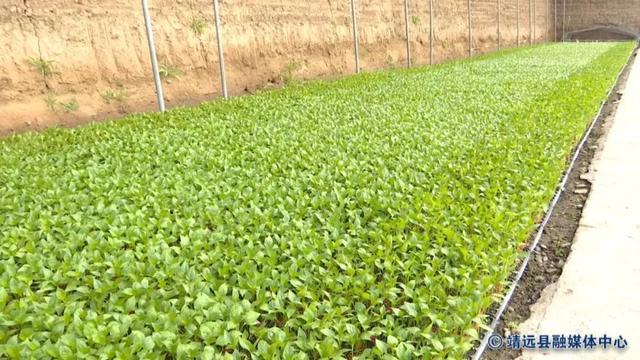 坚持两手抓 夺取双胜利