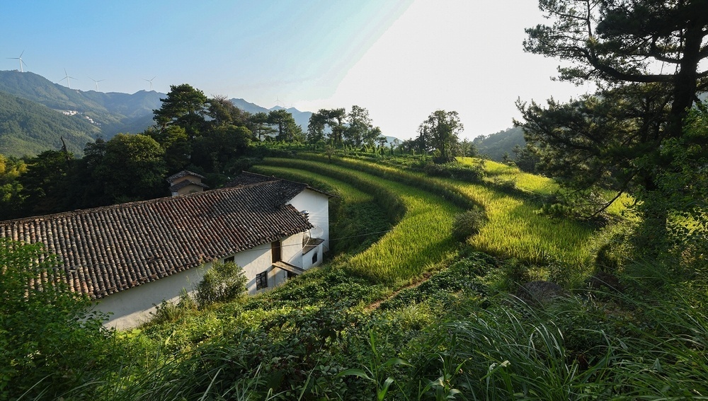 江西于都:龙溪村,美丽的乡村样本(图)