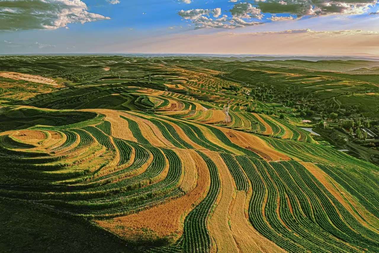 宁夏西吉:从美丽梯田看山乡巨变