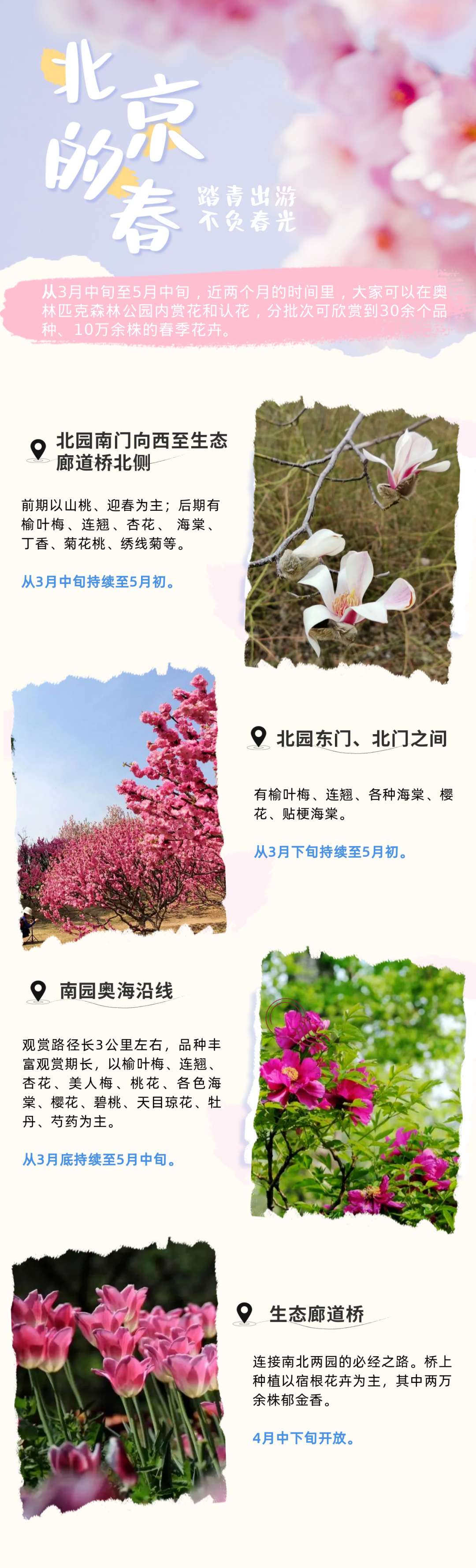 北京朝阳奥森公园赏花推荐路线来了!