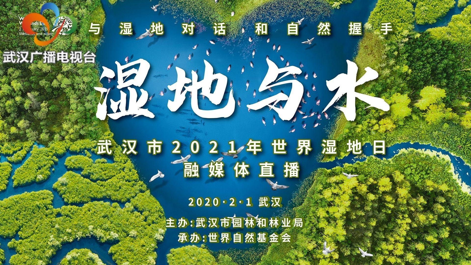 2021年2月1日图片大全图片