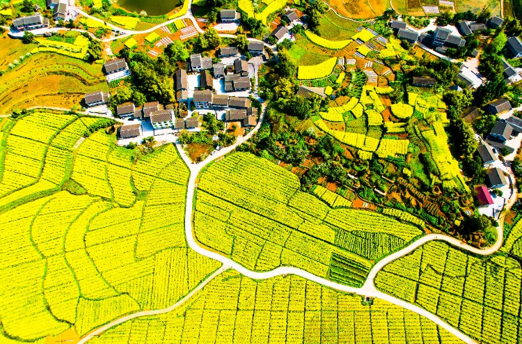 图片新闻|垫江:田园五彩斑斓 乡村活力满满