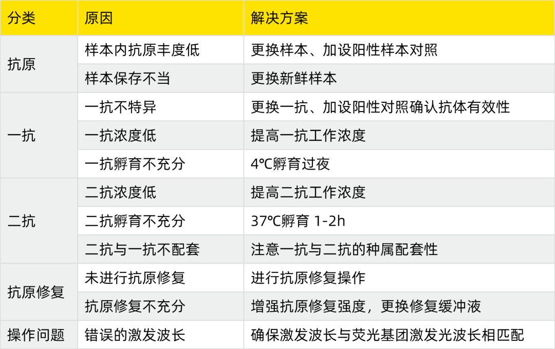 组织切片免疫荧光步骤图片