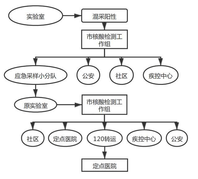 核酸采样点布局图片