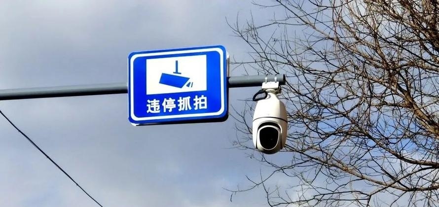 上海电子警察拍违停一般是几分钟啊