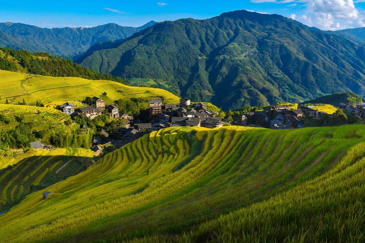 中国之美·最美梯田|"世遗"六大梯田,"天人合一"的杰作