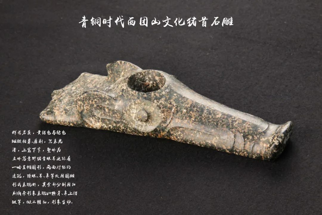 2022年文化与自然遗产日先民的遗物猪首石雕