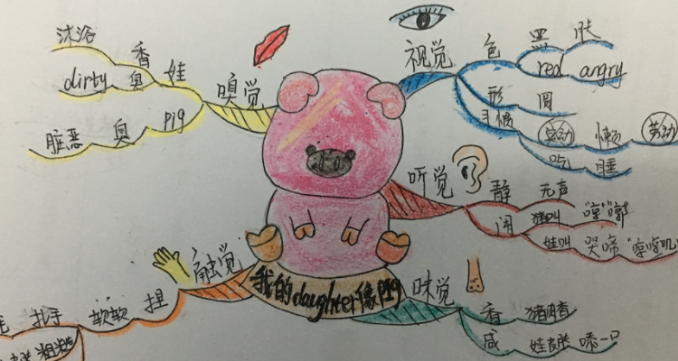 五感指的是什么