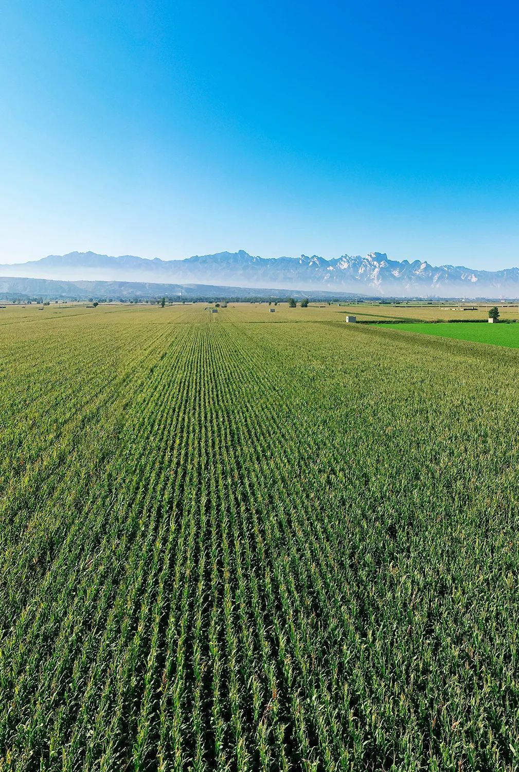 "泾渭分明"里的渭河,对西北有多重要?