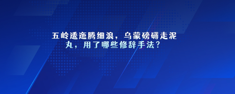 五岭逶迤腾细浪,乌蒙磅礴走泥丸,用了哪些修辞手法?