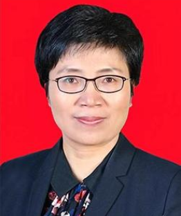 河南省科学技术厅党组书记王忠梅接受审查调查