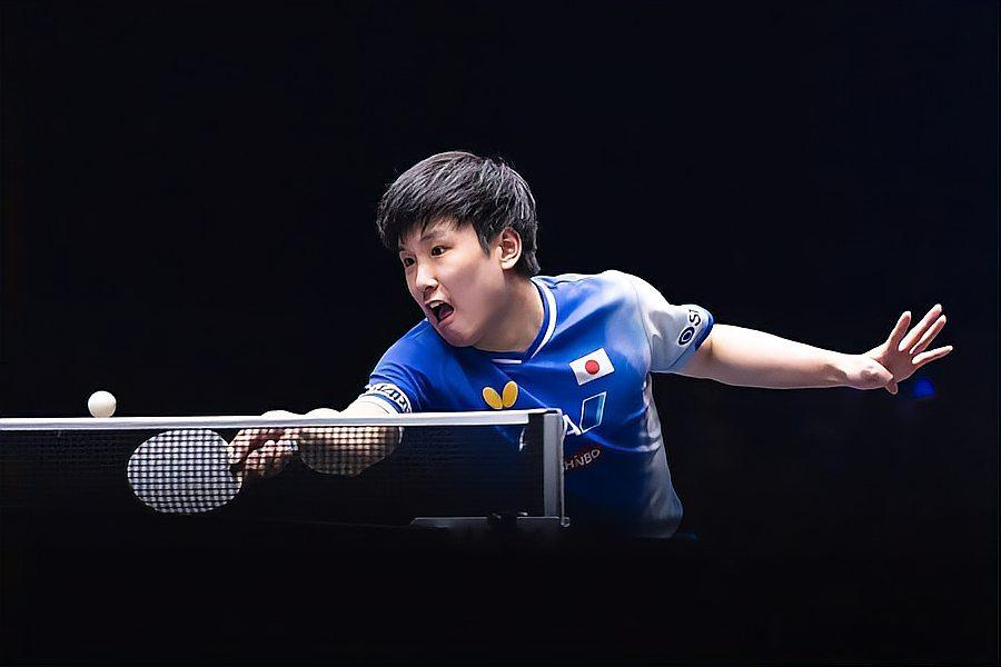 张本智和少年乒乓球运动员激烈比赛瞬间