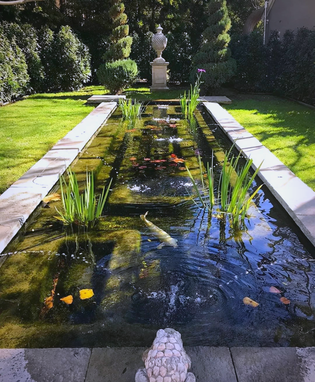 众多庭院鱼池设计案例,值得一试