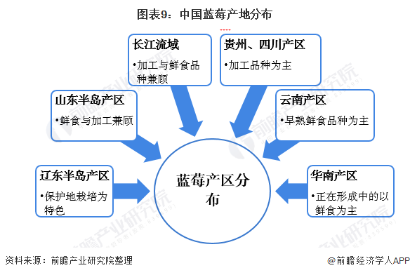 「附中国蓝莓产业市场发展趋势」