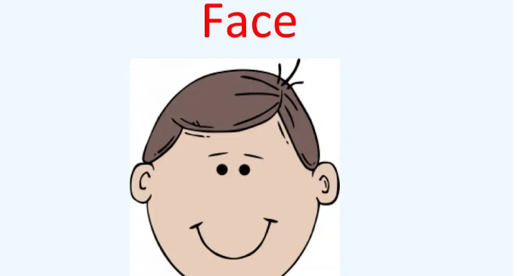 face可数还是不可数