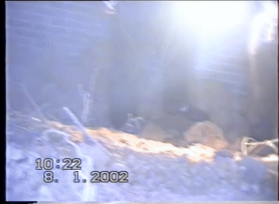 废弃窑洞藏尸 山西高平警方破获30年前5岁女童被杀案