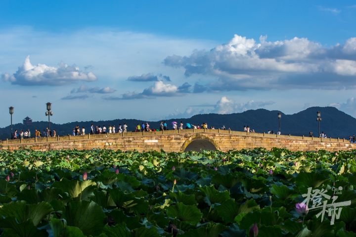 200803czq08 夏日西湖，晚霞很美，斷橋被夕陽余暉照亮。 記者 陳中秋 攝_調整大小.jpg