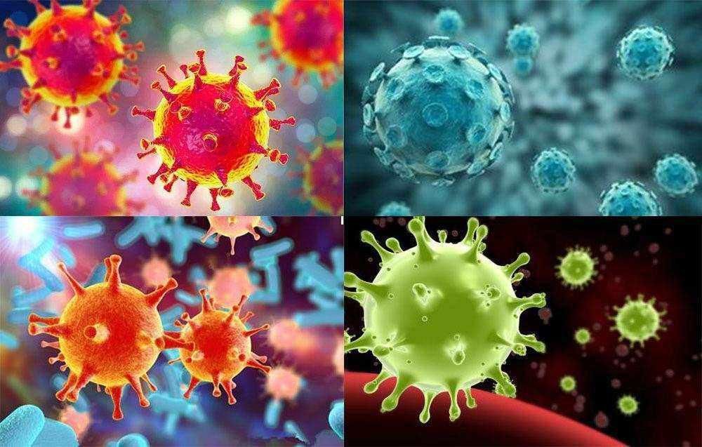 人类历史上最骇人的十大病毒!新冠病毒排倒数?