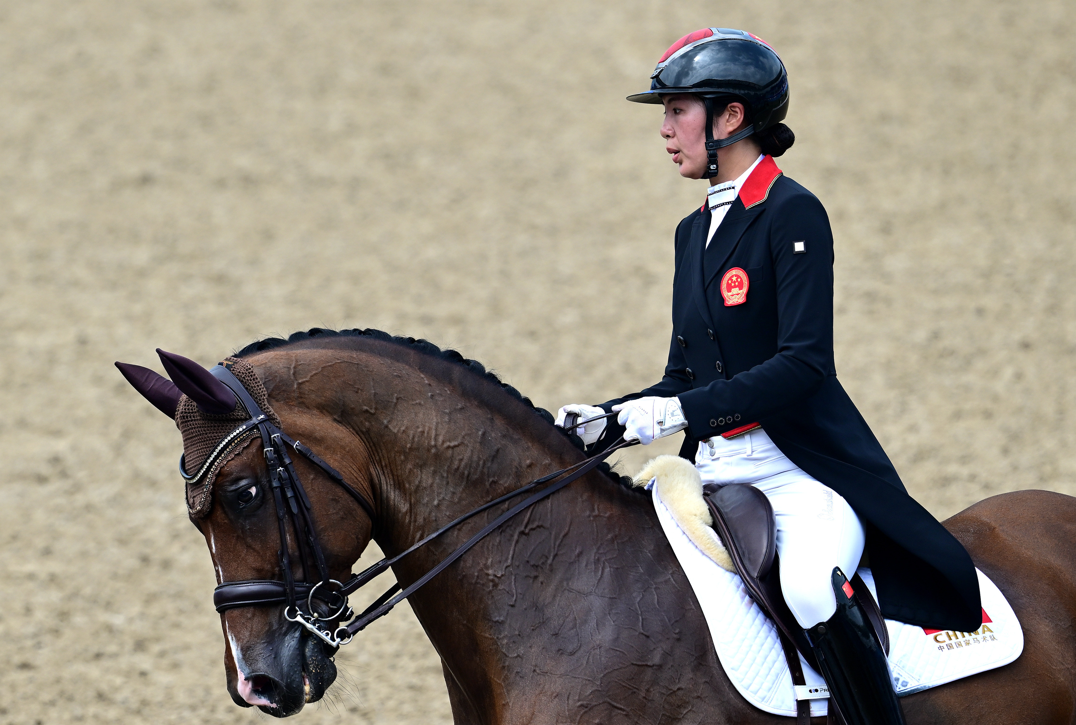 杭州亚运会丨马术盛装舞步团体赛中国队收获一枚银牌