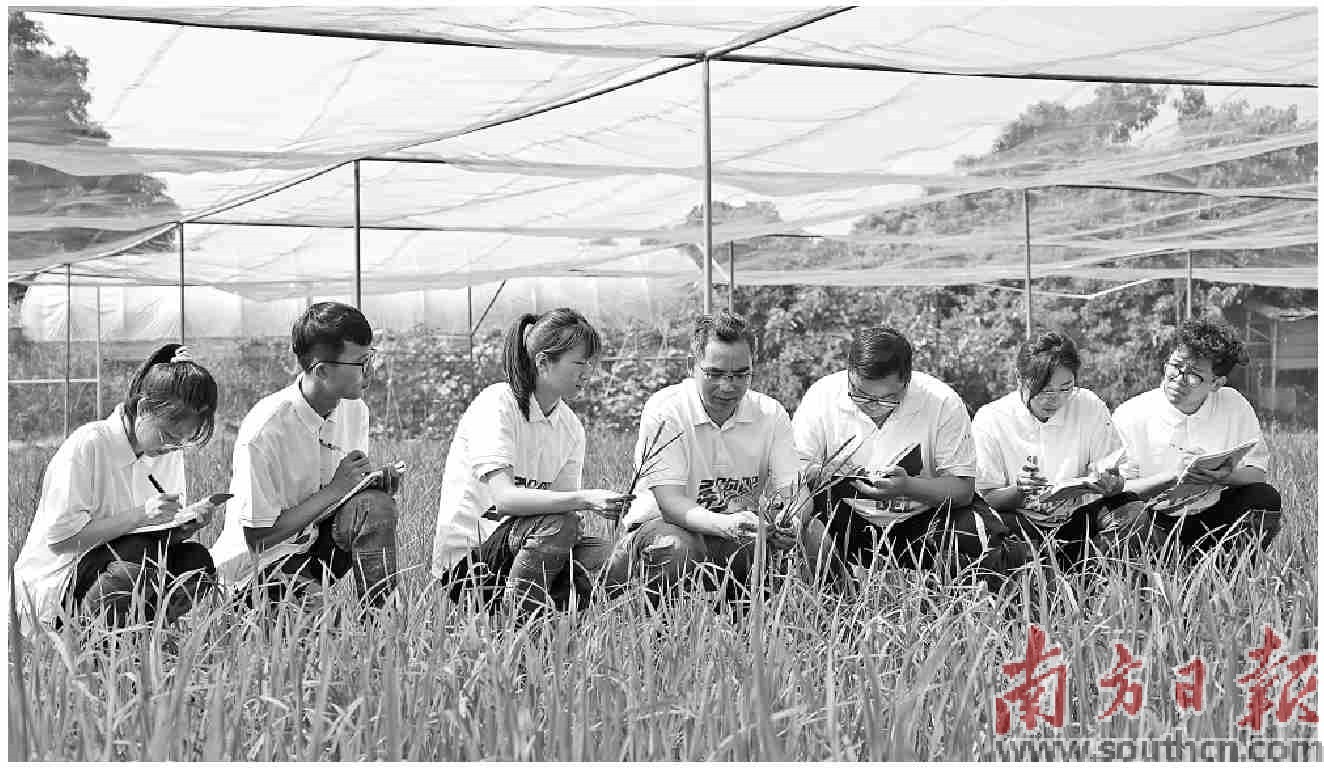 打造高层次人才蓄水池