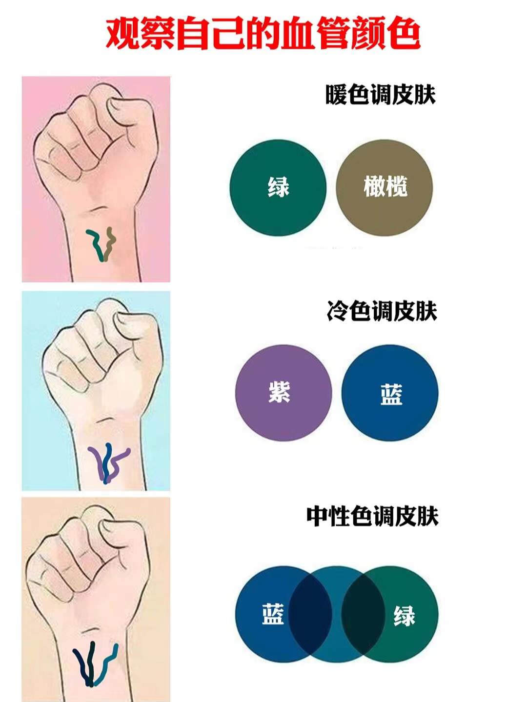两个方法判断你是属于冷皮还是暖皮