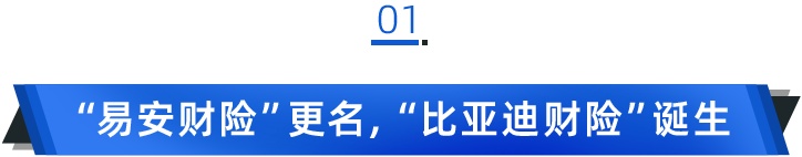 再见"易安",你好"比亚迪"!周亚琳获批担任首届董事长
