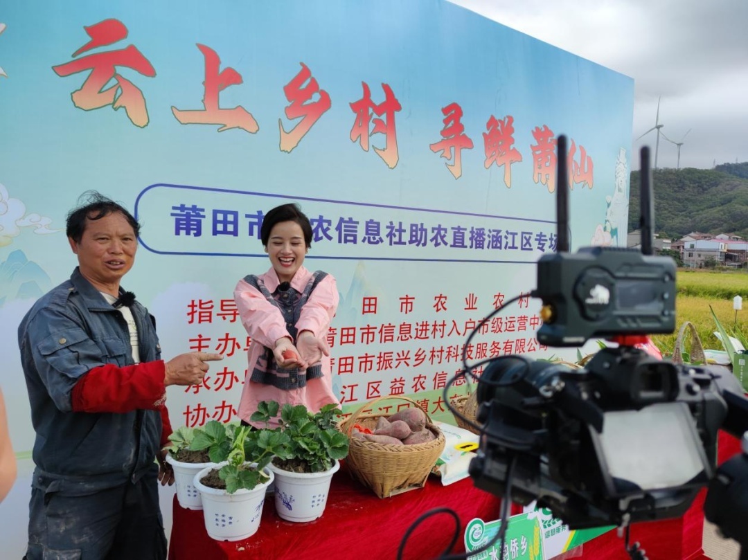 涵江最新拍卖直播网站_涵江拍卖地块