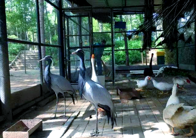 博山莲花山盛装开幕,探索自然与动物的和谐世界