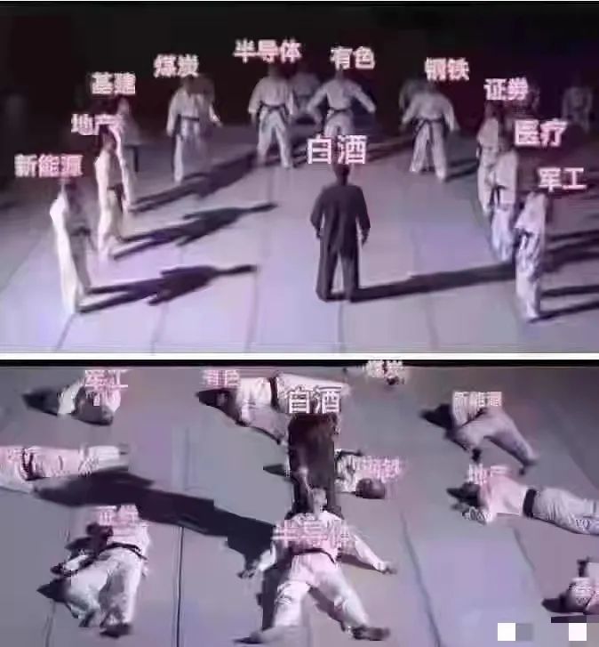 招财猫大牛猫投资笔记:白酒把所有板块干翻了