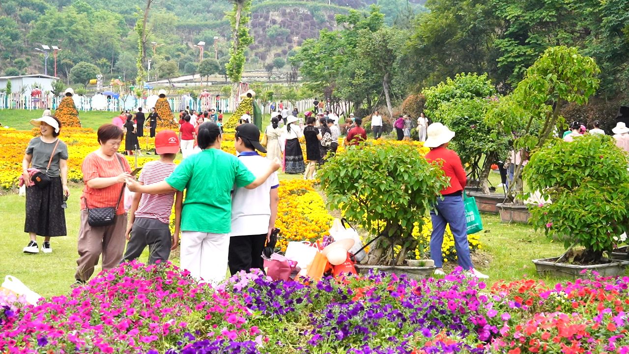 英山四季花海:花香阵阵游人醉 旅游经济热力足