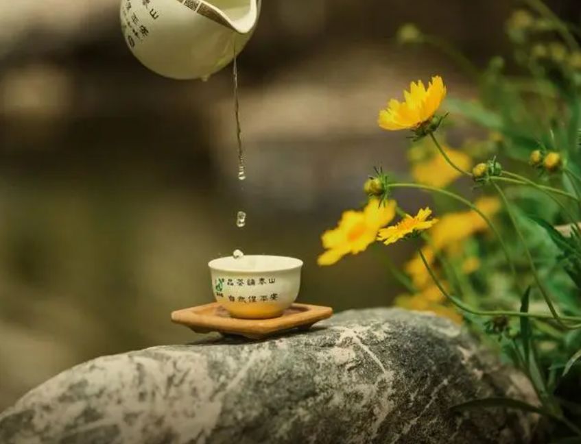 "品鉴大益普洱茶轩辕号:探索普洱茶文化的无穷魅力!