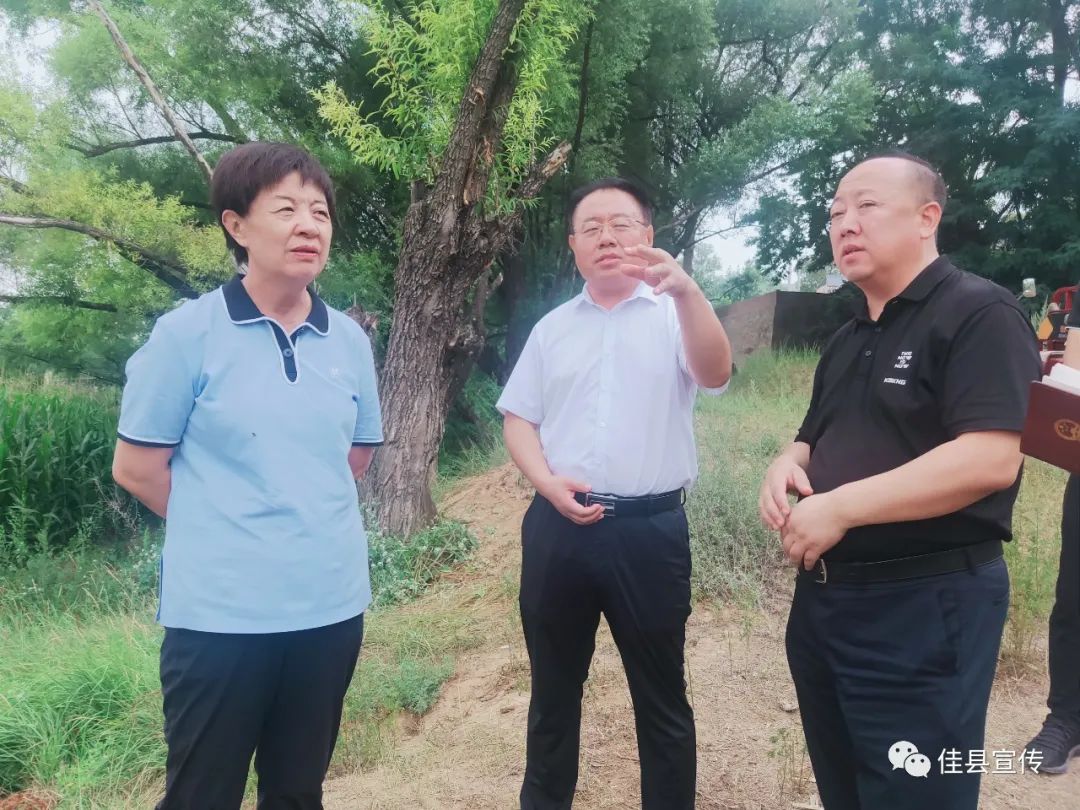 副市长马秀岚来我县调研抗旱工作