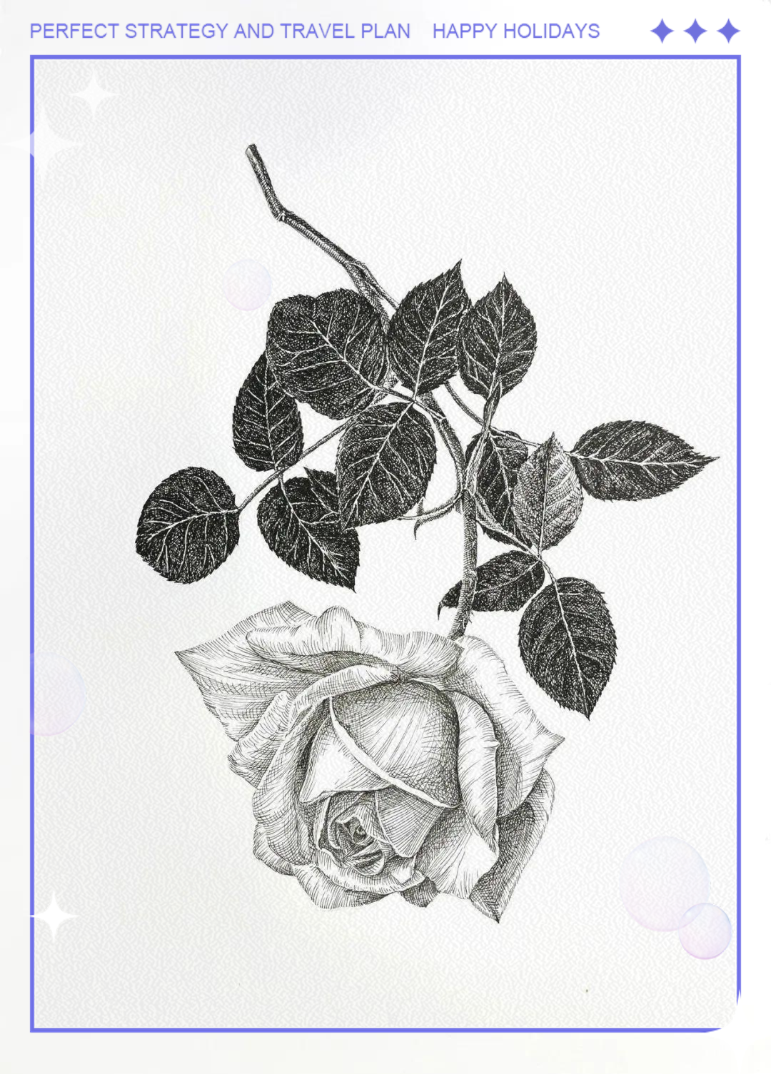 8小时画一朵玫瑰花,钢笔与针管笔的完美结合