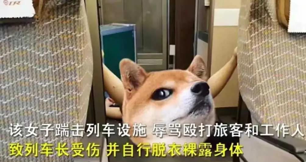 年轻女子"一丝不挂"大闹高铁,表演全裸劈叉